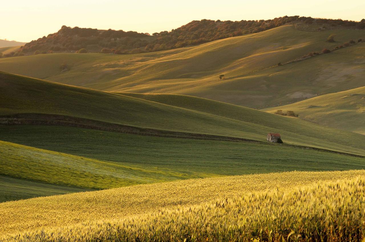 Agriturismo Palazzo Conti - B Pienza Dış mekan fotoğraf