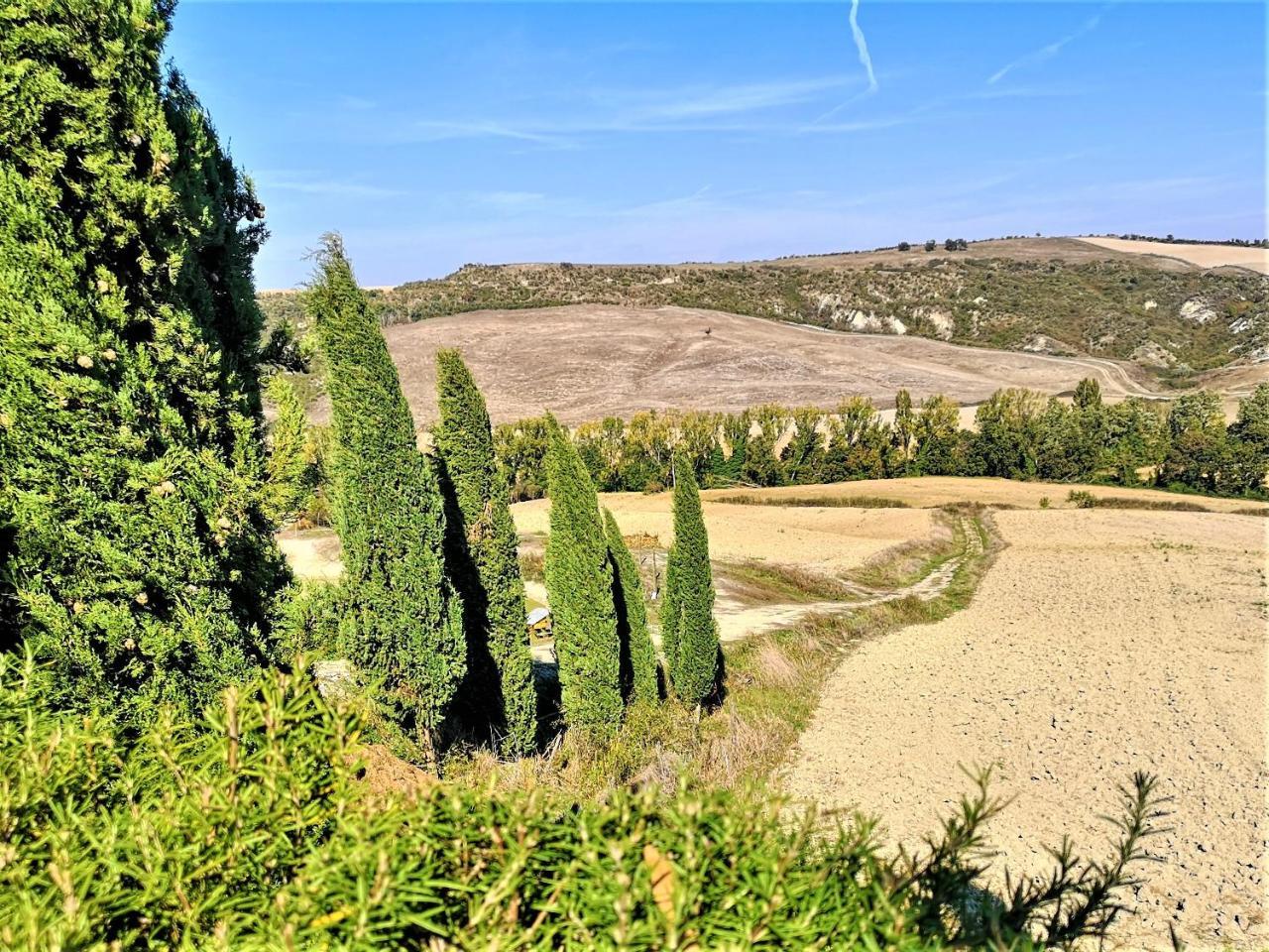 Agriturismo Palazzo Conti - B Pienza Dış mekan fotoğraf